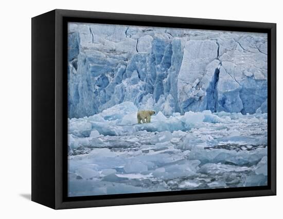Polar Bear on Ice at Monaco Glacier-Hans Strand-Framed Stretched Canvas