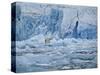 Polar Bear on Ice at Monaco Glacier-Hans Strand-Stretched Canvas