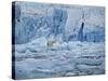 Polar Bear on Ice at Monaco Glacier-Hans Strand-Stretched Canvas