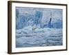 Polar Bear on Ice at Monaco Glacier-Hans Strand-Framed Photographic Print