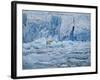 Polar Bear on Ice at Monaco Glacier-Hans Strand-Framed Photographic Print