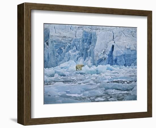 Polar Bear on Ice at Monaco Glacier-Hans Strand-Framed Photographic Print