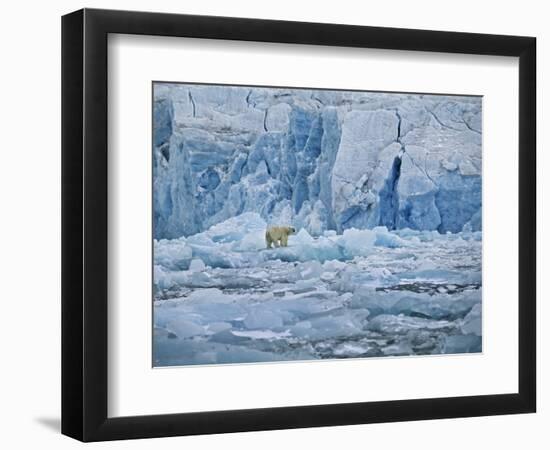 Polar Bear on Ice at Monaco Glacier-Hans Strand-Framed Photographic Print