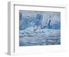 Polar Bear on Ice at Monaco Glacier-Hans Strand-Framed Photographic Print