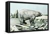 Polar Bear on Ice Floe-null-Framed Stretched Canvas