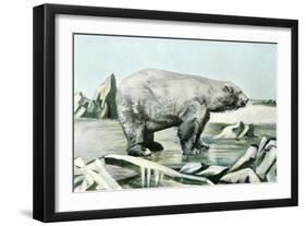 Polar Bear on Ice Floe-null-Framed Art Print