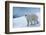 Polar Bear on Ice Yukon-Nosnibor137-Framed Photographic Print