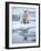 Polar Bear on ice-Paul Souders-Framed Photographic Print