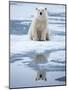 Polar Bear on ice-Paul Souders-Mounted Photographic Print