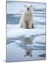 Polar Bear on ice-Paul Souders-Mounted Photographic Print