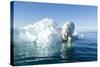 Polar Bear on Iceberg, Hudson Bay, Nunavut, Canada-Paul Souders-Stretched Canvas