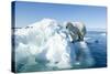 Polar Bear on Iceberg, Hudson Bay, Nunavut, Canada-Paul Souders-Stretched Canvas