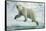 Polar Bear on Iceberg, Hudson Bay, Nunavut, Canada-Paul Souders-Framed Stretched Canvas