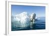 Polar Bear on Iceberg, Hudson Bay, Nunavut, Canada-Paul Souders-Framed Photographic Print