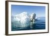 Polar Bear on Iceberg, Hudson Bay, Nunavut, Canada-Paul Souders-Framed Photographic Print