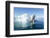 Polar Bear on Iceberg, Hudson Bay, Nunavut, Canada-Paul Souders-Framed Photographic Print