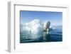 Polar Bear on Iceberg, Hudson Bay, Nunavut, Canada-Paul Souders-Framed Photographic Print