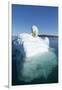 Polar Bear on Iceberg, Hudson Bay, Nunavut, Canada-Paul Souders-Framed Photographic Print