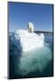 Polar Bear on Iceberg, Hudson Bay, Nunavut, Canada-Paul Souders-Mounted Photographic Print