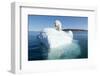 Polar Bear on Iceberg, Hudson Bay, Nunavut, Canada-Paul Souders-Framed Photographic Print