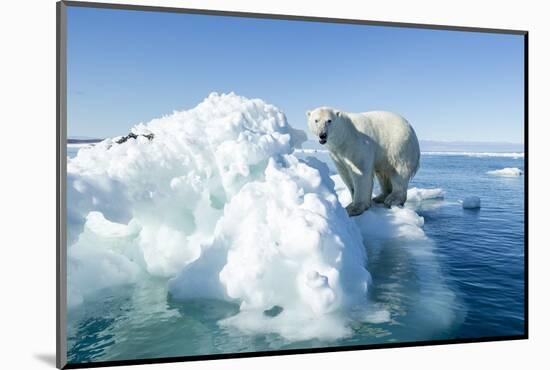 Polar Bear on Iceberg, Hudson Bay, Nunavut, Canada-Paul Souders-Mounted Photographic Print