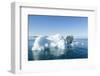 Polar Bear on Iceberg, Hudson Bay, Nunavut, Canada-Paul Souders-Framed Photographic Print