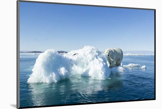 Polar Bear on Iceberg, Hudson Bay, Nunavut, Canada-Paul Souders-Mounted Photographic Print