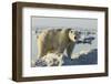 Polar Bear on Iceberg, Hudson Bay, Nunavut, Canada-Paul Souders-Framed Photographic Print