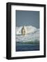 Polar Bear on Iceberg, Hudson Bay, Nunavut, Canada-Paul Souders-Framed Photographic Print