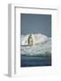 Polar Bear on Iceberg, Hudson Bay, Nunavut, Canada-Paul Souders-Framed Photographic Print