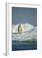 Polar Bear on Iceberg, Hudson Bay, Nunavut, Canada-Paul Souders-Framed Photographic Print