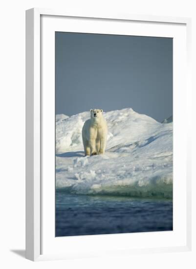 Polar Bear on Iceberg, Hudson Bay, Nunavut, Canada-Paul Souders-Framed Photographic Print