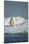 Polar Bear on Iceberg, Hudson Bay, Nunavut, Canada-Paul Souders-Mounted Photographic Print