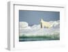 Polar Bear on Iceberg, Hudson Bay, Nunavut, Canada-Paul Souders-Framed Photographic Print