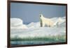 Polar Bear on Iceberg, Hudson Bay, Nunavut, Canada-Paul Souders-Framed Photographic Print