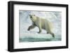 Polar Bear on Iceberg, Hudson Bay, Nunavut, Canada-Paul Souders-Framed Photographic Print