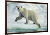 Polar Bear on Iceberg, Hudson Bay, Nunavut, Canada-Paul Souders-Framed Photographic Print