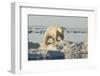 Polar Bear on Iceberg, Hudson Bay, Nunavut, Canada-Paul Souders-Framed Photographic Print