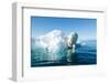 Polar Bear on Iceberg, Hudson Bay, Nunavut, Canada-Paul Souders-Framed Photographic Print