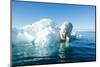 Polar Bear on Iceberg, Hudson Bay, Nunavut, Canada-Paul Souders-Mounted Photographic Print