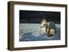 Polar Bear on Iceberg in Hudson Bay, Nunavut, Canada-Paul Souders-Framed Photographic Print