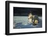 Polar Bear on Iceberg in Hudson Bay, Nunavut, Canada-Paul Souders-Framed Photographic Print