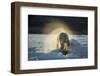 Polar Bear on Iceberg in Hudson Bay, Nunavut, Canada-Paul Souders-Framed Photographic Print