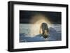 Polar Bear on Iceberg in Hudson Bay, Nunavut, Canada-Paul Souders-Framed Photographic Print