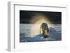 Polar Bear on Iceberg in Hudson Bay, Nunavut, Canada-Paul Souders-Framed Photographic Print
