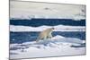 Polar Bear on Iceberg in Svalbard Islands-Paul Souders-Mounted Photographic Print