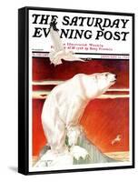 "Polar Bear on Iceberg," Saturday Evening Post Cover, January 14, 1933-Jack Murray-Framed Stretched Canvas