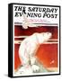 "Polar Bear on Iceberg," Saturday Evening Post Cover, January 14, 1933-Jack Murray-Framed Stretched Canvas
