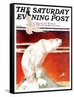 "Polar Bear on Iceberg," Saturday Evening Post Cover, January 14, 1933-Jack Murray-Framed Stretched Canvas