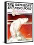 "Polar Bear on Iceberg," Saturday Evening Post Cover, January 14, 1933-Jack Murray-Framed Stretched Canvas